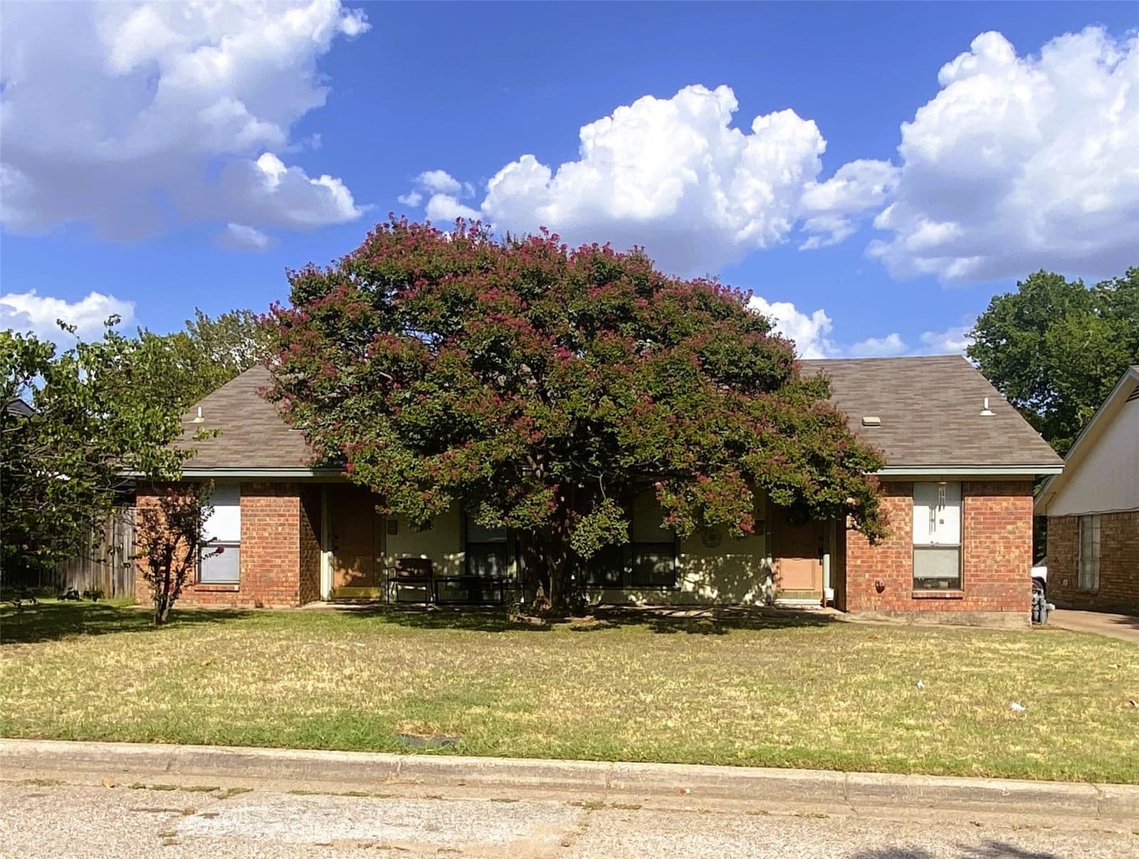 1107 Park Street - Photo